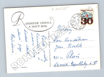 Pohlednice Vánoční motiv borové větve šišky 1941 (M34625)
