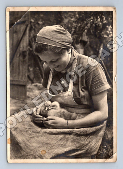 Pohlednice Německo Žena RAD s kuřetem (M34627)