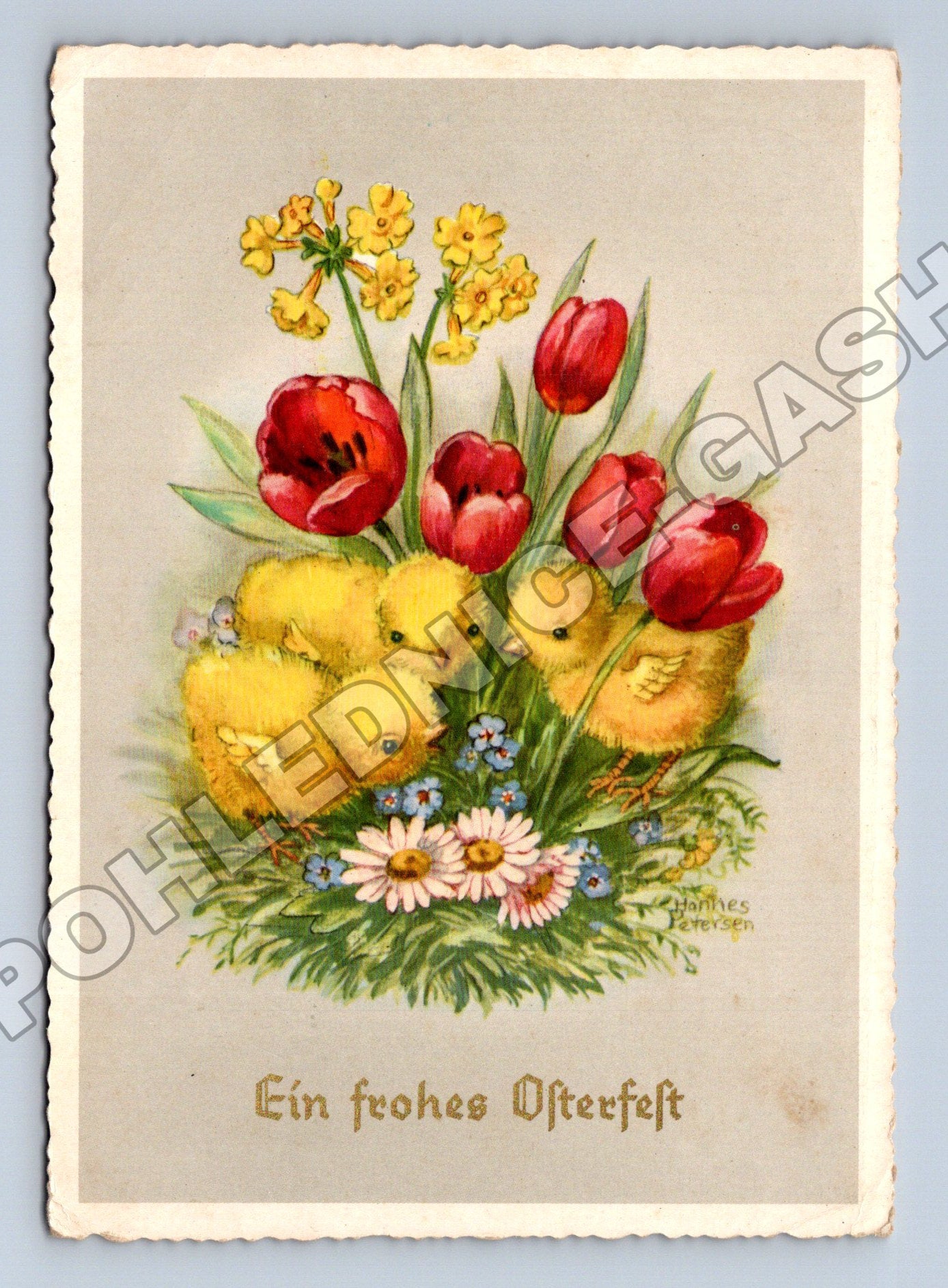 Pohlednice Německo Velikonoce kuřátka tulipány 1950 (M34643)