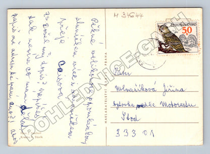 Pohlednice Velikonoční zajíc v košíku 1970 (M34644)