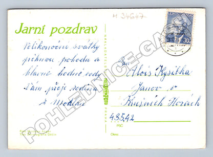 Pohlednice Pastýř se stádem ovcí 1970 (M34647)