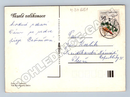 Pohlednice velikonoční kočičky a vejce (M34651)