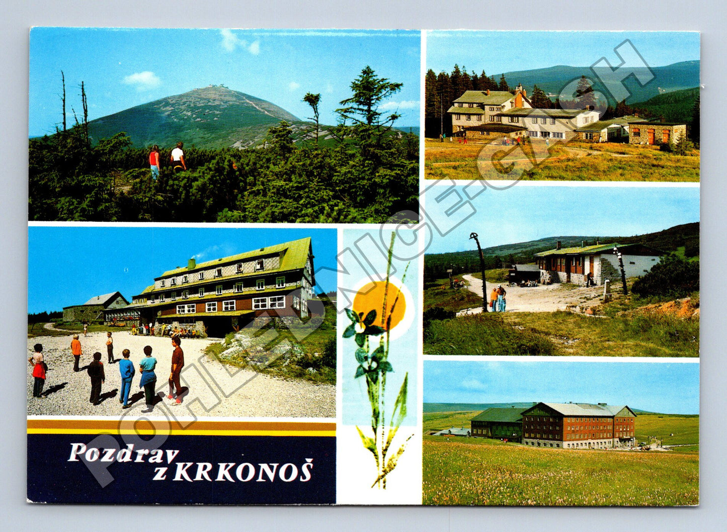 Pohlednice Krkonoše Sněžka, Luční bouda, Výrovka (M34730)