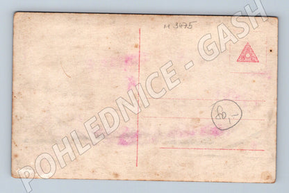 Pohlednice Henny Porten kolorovaný portrét (M3475)