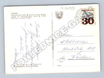 Pohlednice Jeseníky zimní motiv lyžování (M34800)