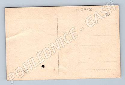 Pohlednice dívka s květinou kolorovaný motiv (M3483)