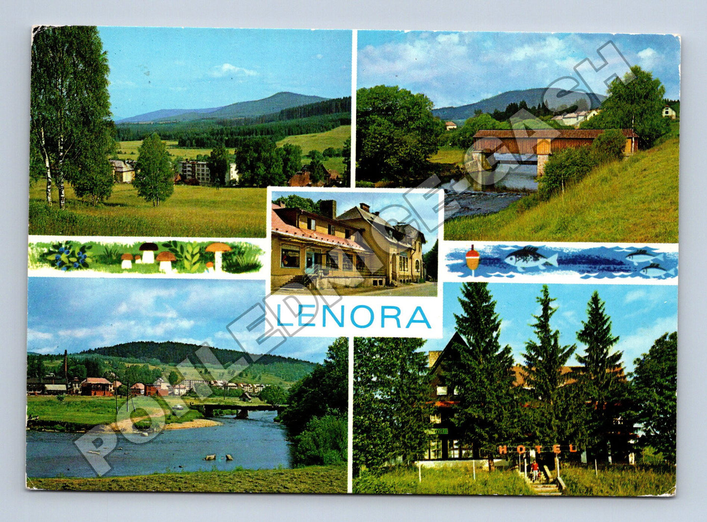 Pohlednice Lenora Šumava multiobrázková 1980 (M34959)