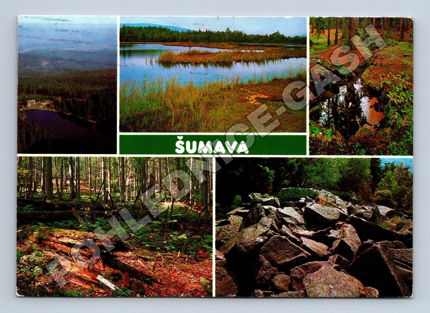 Pohlednice Šumava přírodní motivy 1973 (M35006)