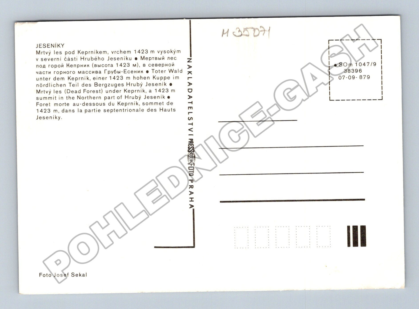 Pohlednice Jeseníky Mrštný les pod Keprníkem 1979 (M35071)