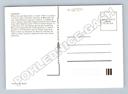 Pohlednice Jeseníky Mrštný les pod Keprníkem 1979 (M35071)