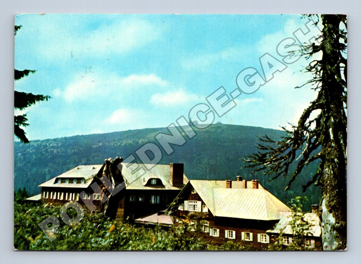 Pohlednice Jeseníky Chata Ovčárna Praděd 1973 (M35089)