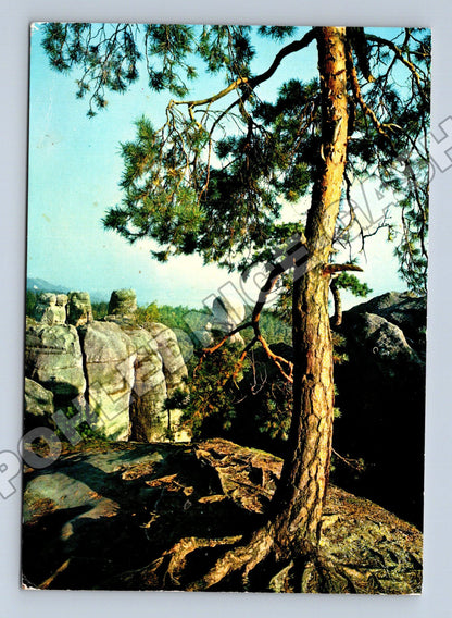 Pohlednice Hrubá Skála pískovcové útvary 1977 (M35090)
