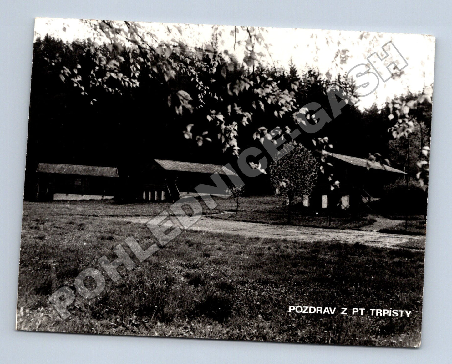 Pohlednice Trpísty budovy u lesa (M35097)
