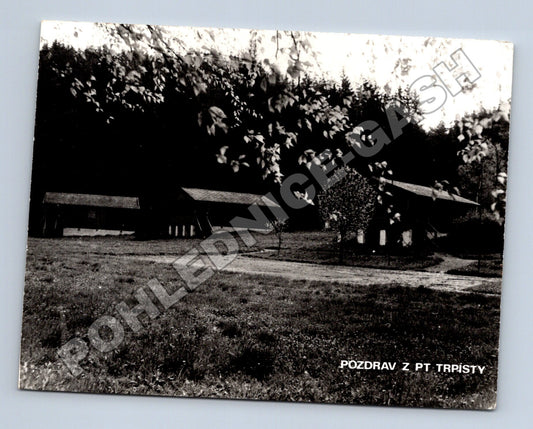 Pohlednice Trpísty budovy u lesa (M35097)