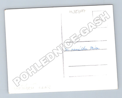 Pohlednice Trpísty budovy u lesa (M35097)