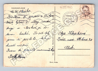Pohlednice Mariánské Lázně ulice stromoví 1949 (M35120)