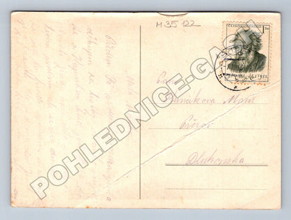 Pohlednice Československo krajina strom 1952 (M35122)