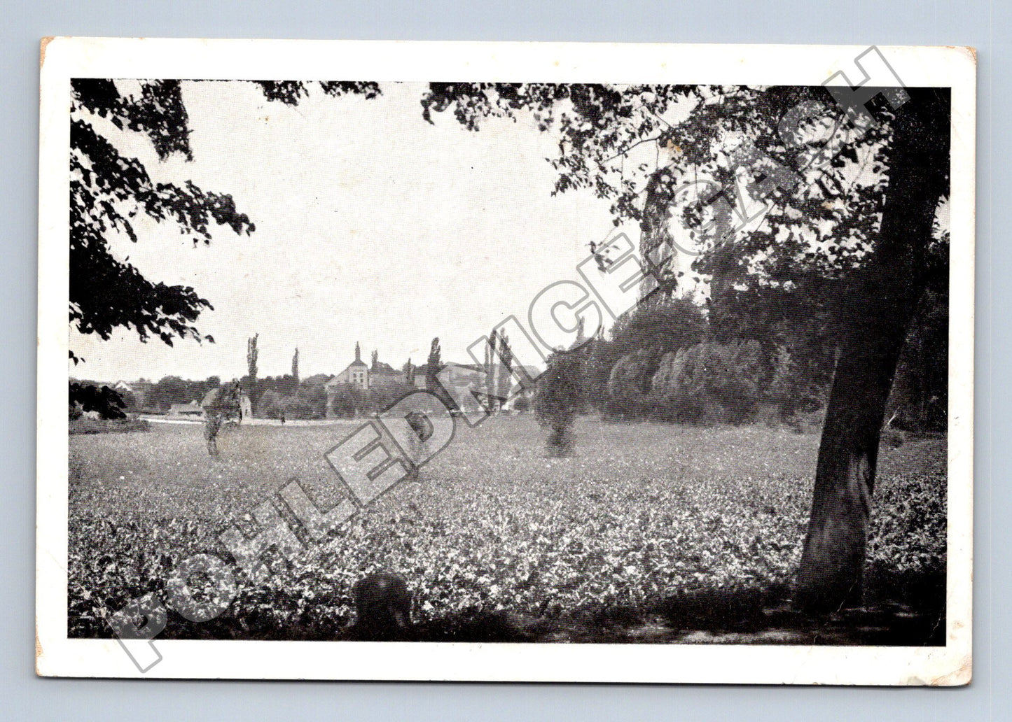 Pohlednice Klobuky pole s výhledem na obec ca 1920s (M35130)