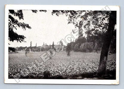 Pohlednice Klobuky pole s výhledem na obec ca 1920s (M35130)