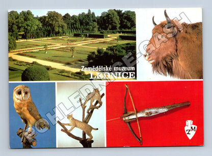 Pohlednice Lednice Zemědělské muzeum zvířata (M35145)