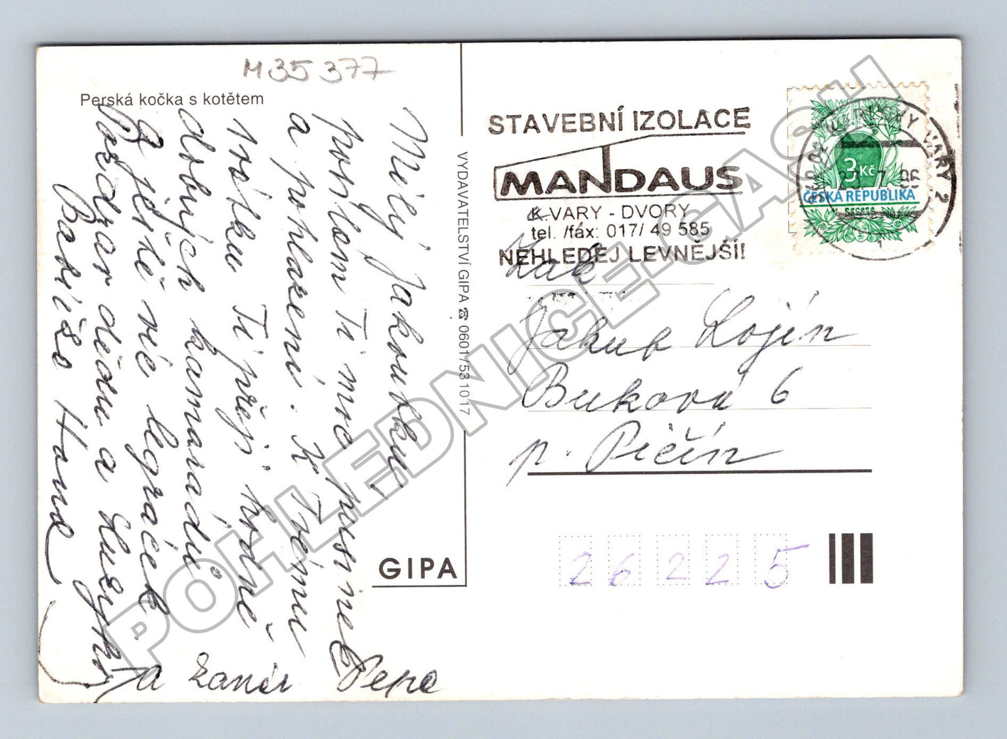 Pohlednice Perská kočka s kotětem (M35377)