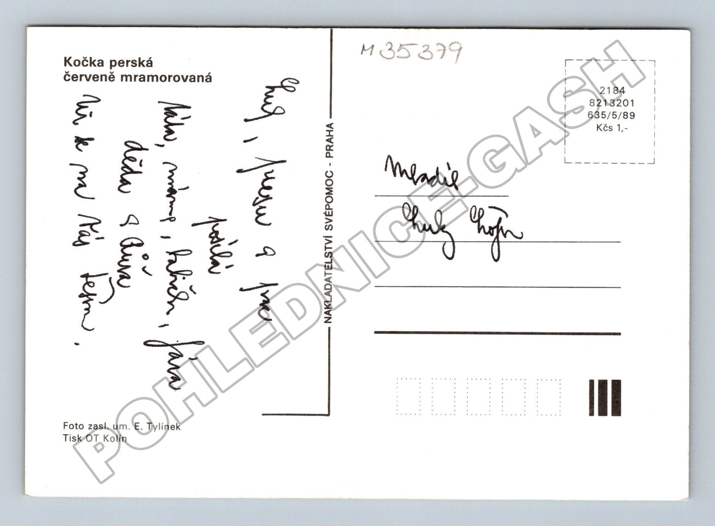 Pohlednice Kočka perská (M35379)