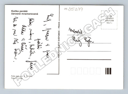 Pohlednice Kočka perská (M35379)