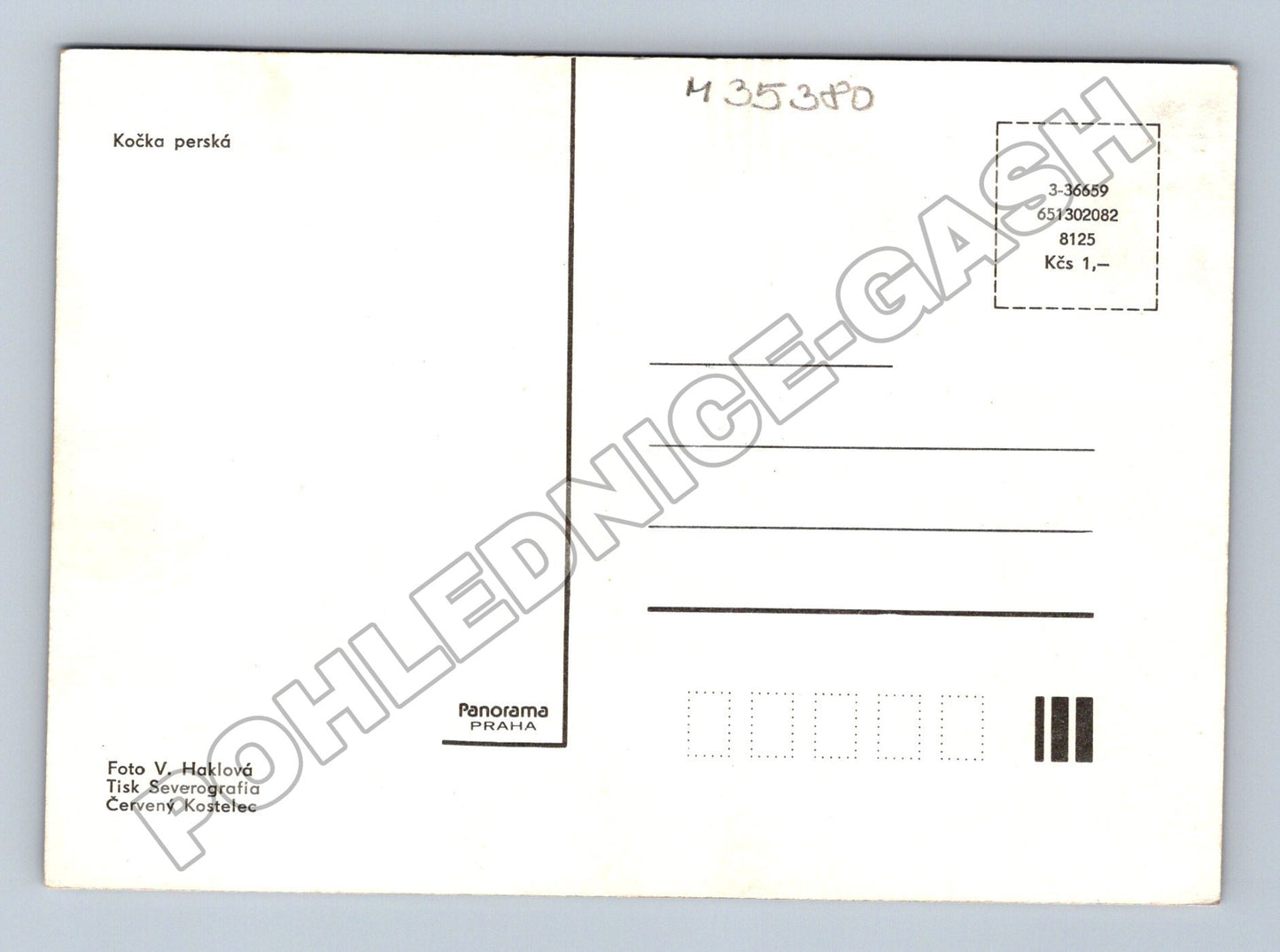Pohlednice Kočka perská (M35380)