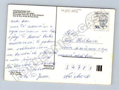 Pohlednice Dvůr Králové nad Labem zoo zvířata 1974 (M35385)