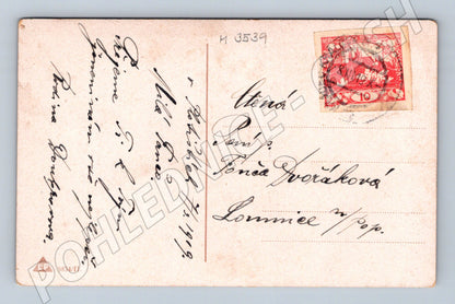 Pohlednice děti s květinami 1919 ČSR (M3539)