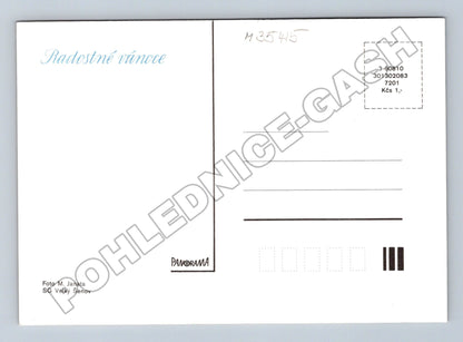 Pohlednice Vánoce jablka ořechy jehličí (M35415)