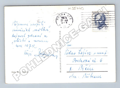 Pohlednice Novoroční motiv hodiny prase láhev 1971 (M35440)