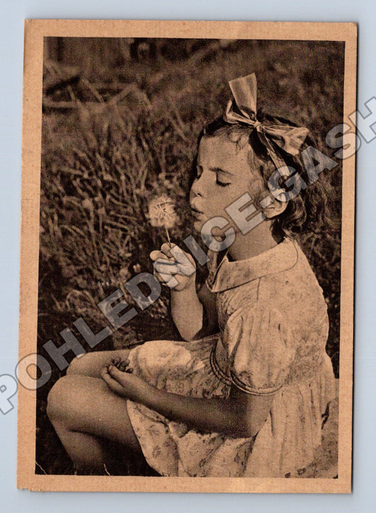 Pohlednice dívka s pampeliškou ležící v trávě (M35461)