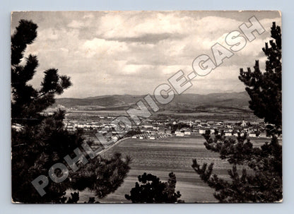 Pohlednice Slovensko Nové Mesto nad Váhom panorama 1955 (M35466)