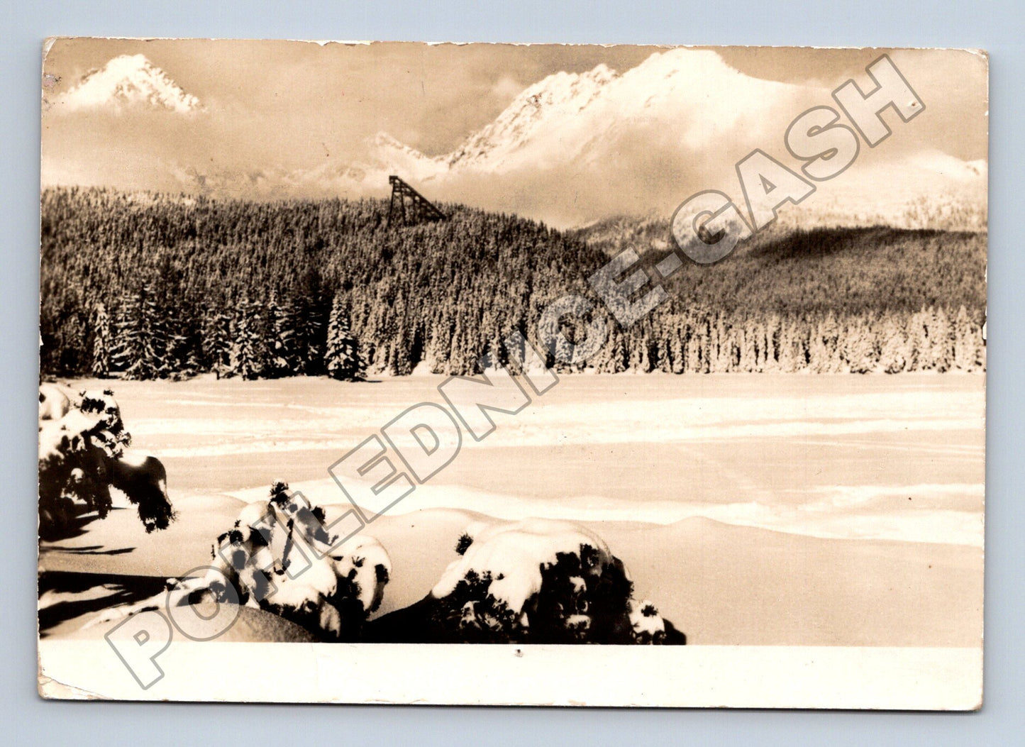 Pohlednice Slovensko Vysoké Tatry Štrbské pleso zima (M35490)