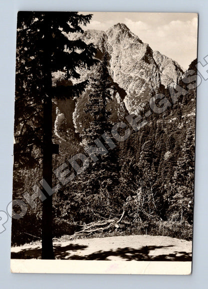 Pohlednice Slovensko Vysoké Tatry Slavkovský štít (M35492)