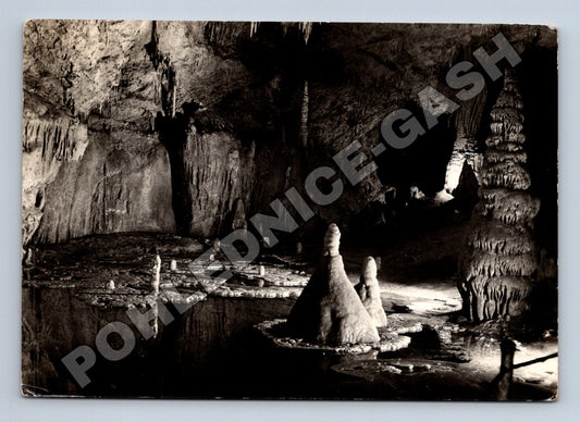 Slovensko Demänovské jaskyne Leknícové jazierko 1957 (M35493)