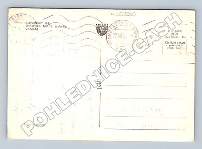 Pohlednice Slovensko Dobšinská ľadová jaskyňa 1953 (M35500)