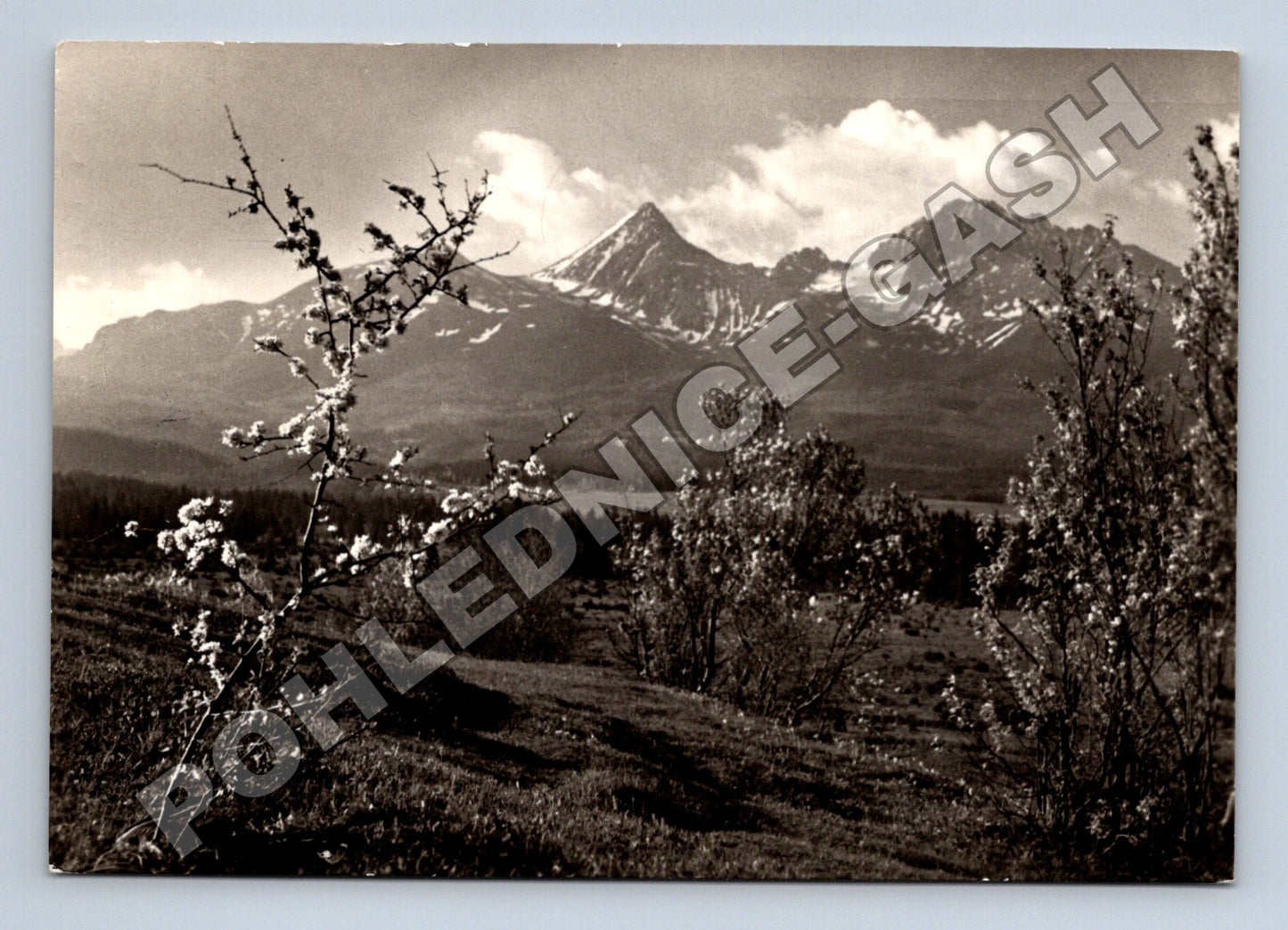 Pohlednice Slovensko Vysoké Tatry Mengusovce 1963 (M35502)