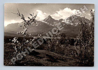 Pohlednice Slovensko Vysoké Tatry Mengusovce 1963 (M35502)