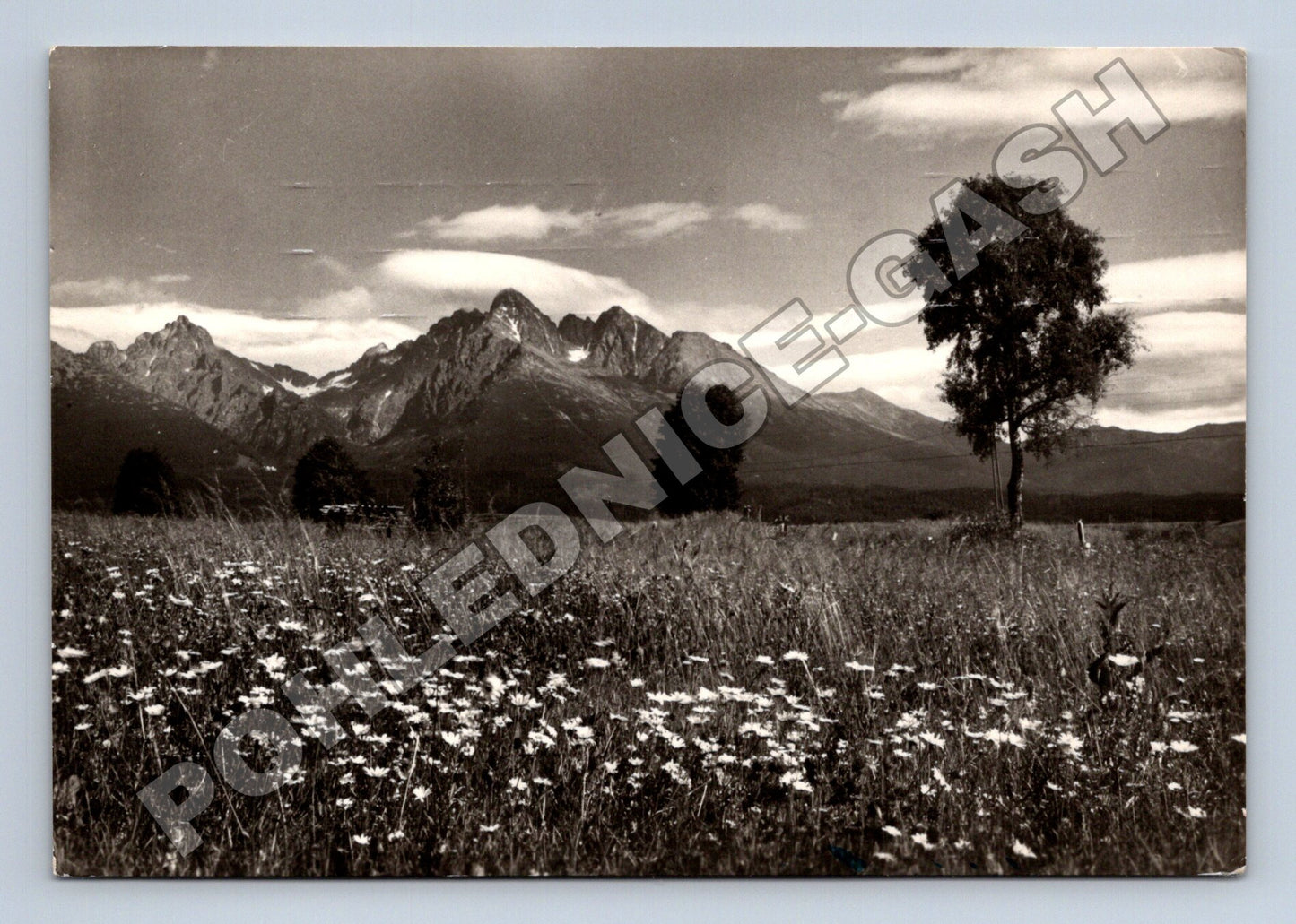 Pohlednice Slovensko Vysoké Tatry Prostředný hrot 1950s (M35522)