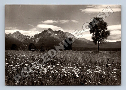 Pohlednice Slovensko Vysoké Tatry Prostředný hrot 1950s (M35522)