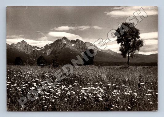 Pohlednice Slovensko Vysoké Tatry Prostředný hrot 1950s (M35522)