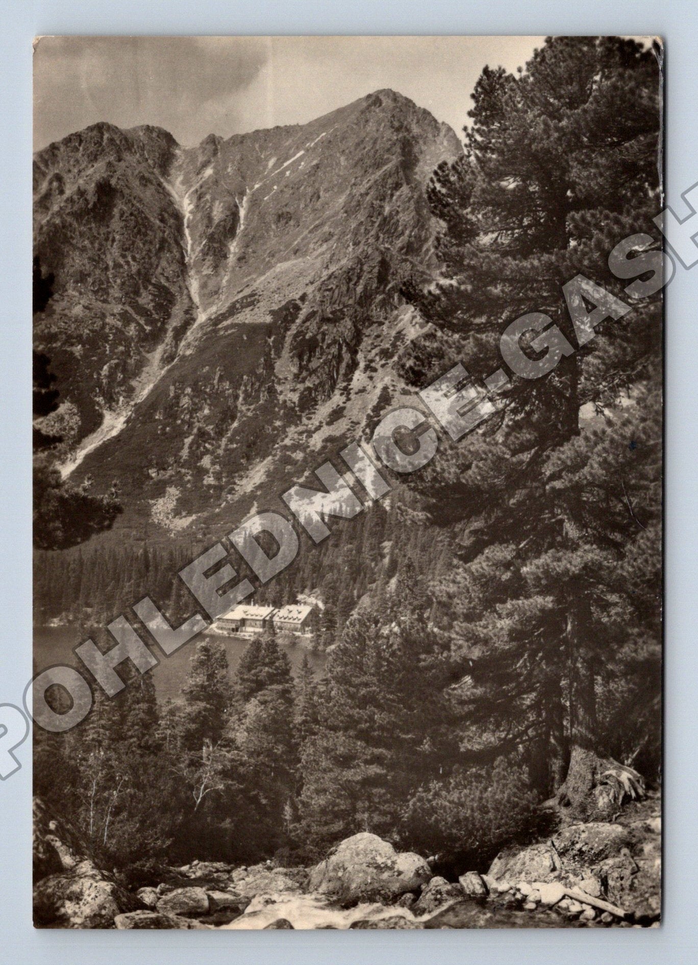 Pohlednice Slovensko Vysoké Tatry Ostrva 1954 (M35534)