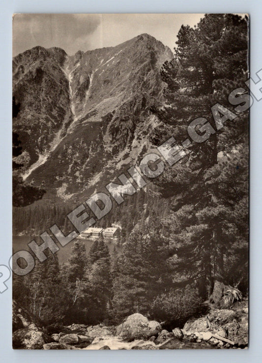 Pohlednice Slovensko Vysoké Tatry Ostrva 1954 (M35534)
