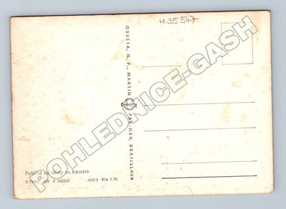 Pohlednice Slovensko Remata pohled od chaty (M35547)