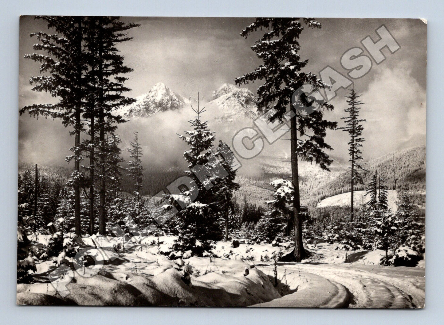 Pohlednice Slovensko Vysoké Tatry zima 1959 (M35559)