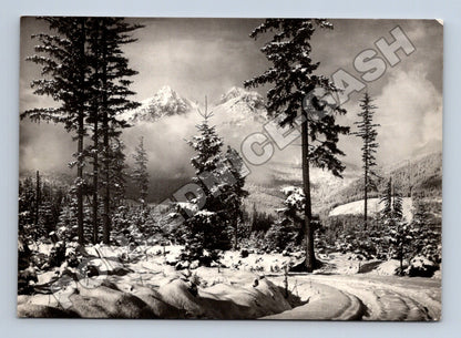Pohlednice Slovensko Vysoké Tatry zima 1959 (M35559)