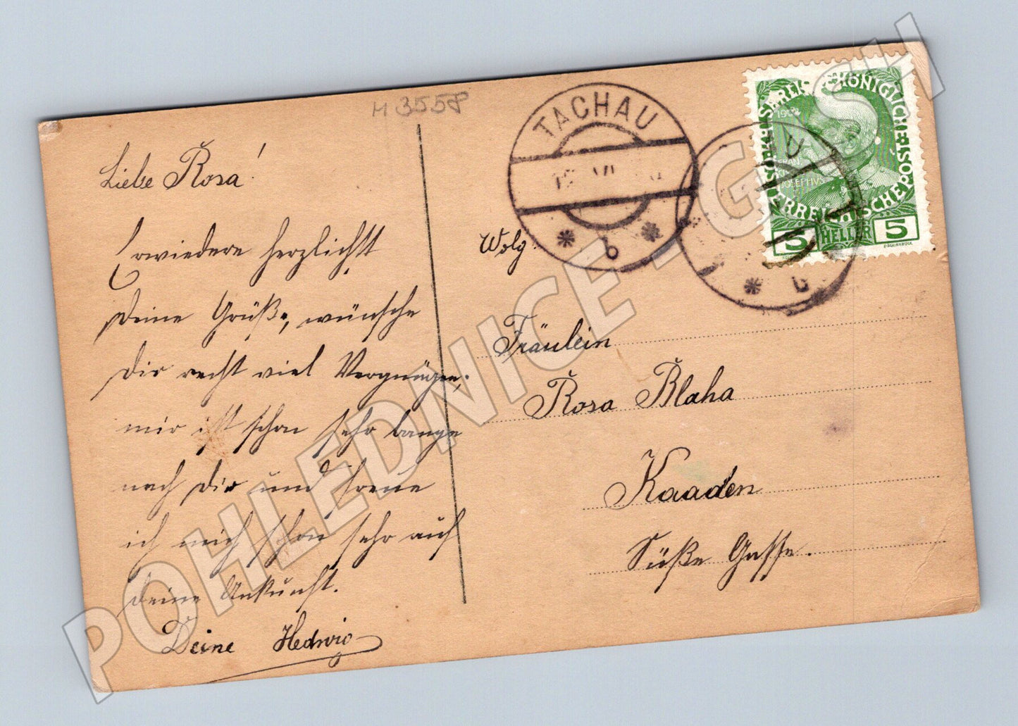 Pohlednice portrét ženy kolor Tachov 1911 (M3558)