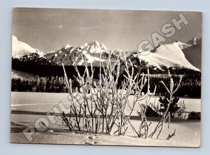 Slovensko Tatranský národní park Štrbské pleso 1963 (M35580)